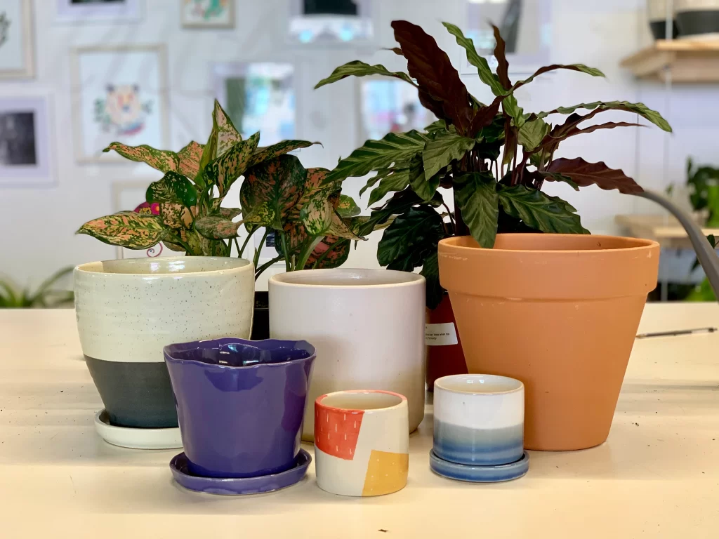 Plant pots
